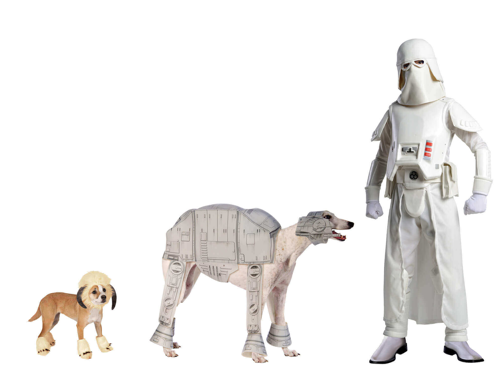 Star Wars Costume