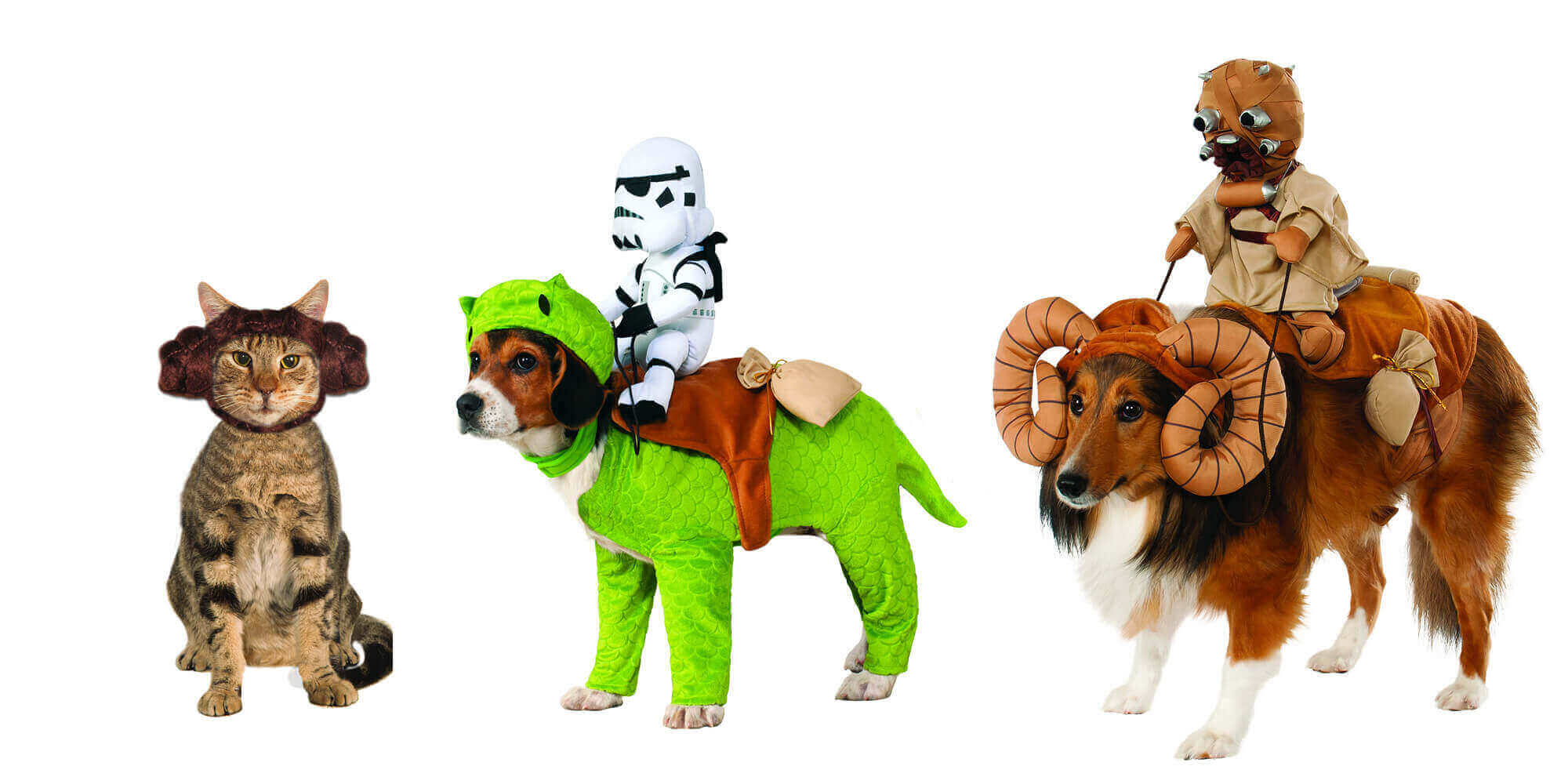 Star Wars Costume