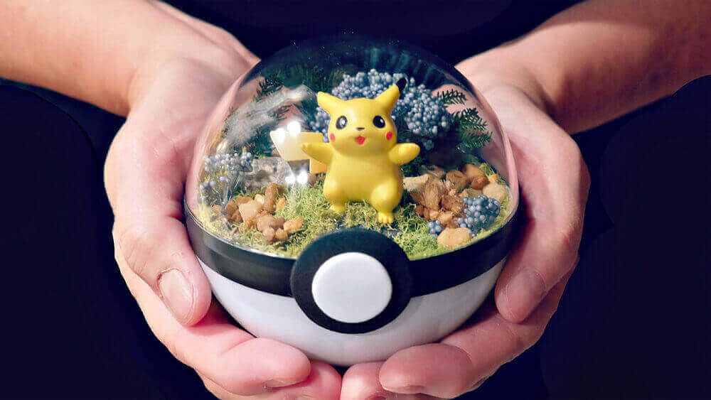Pokemon Terrarium