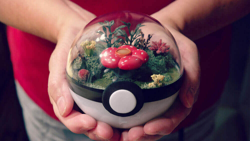 Pokemon Terrarium