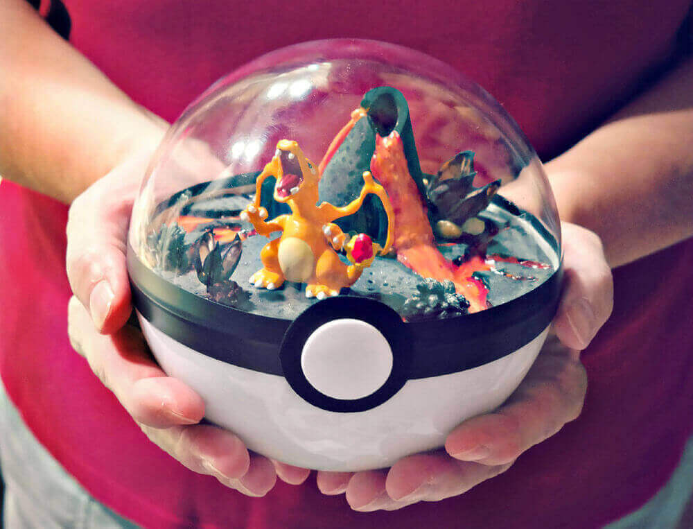 Pokemon Terrarium