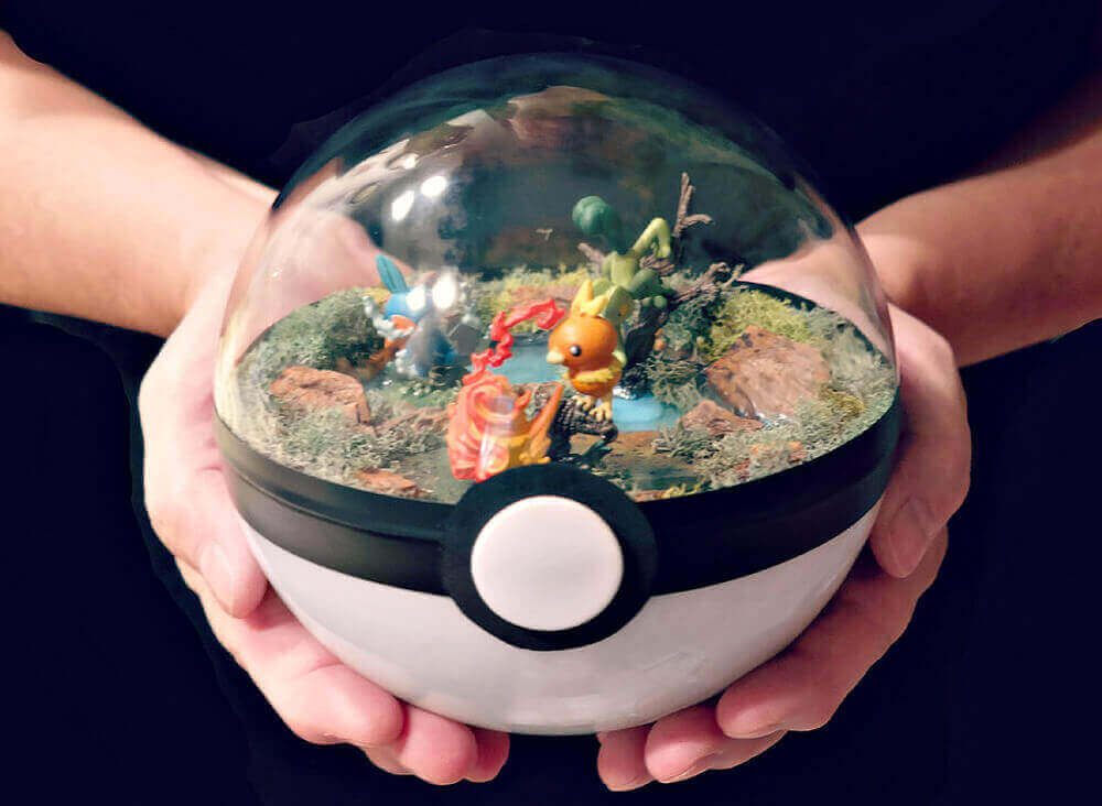Pokemon Terrarium