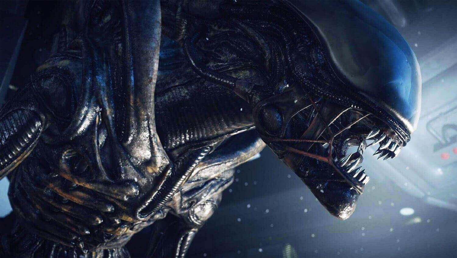 Alien