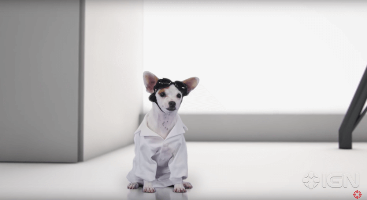 dr-strange-dogs-2