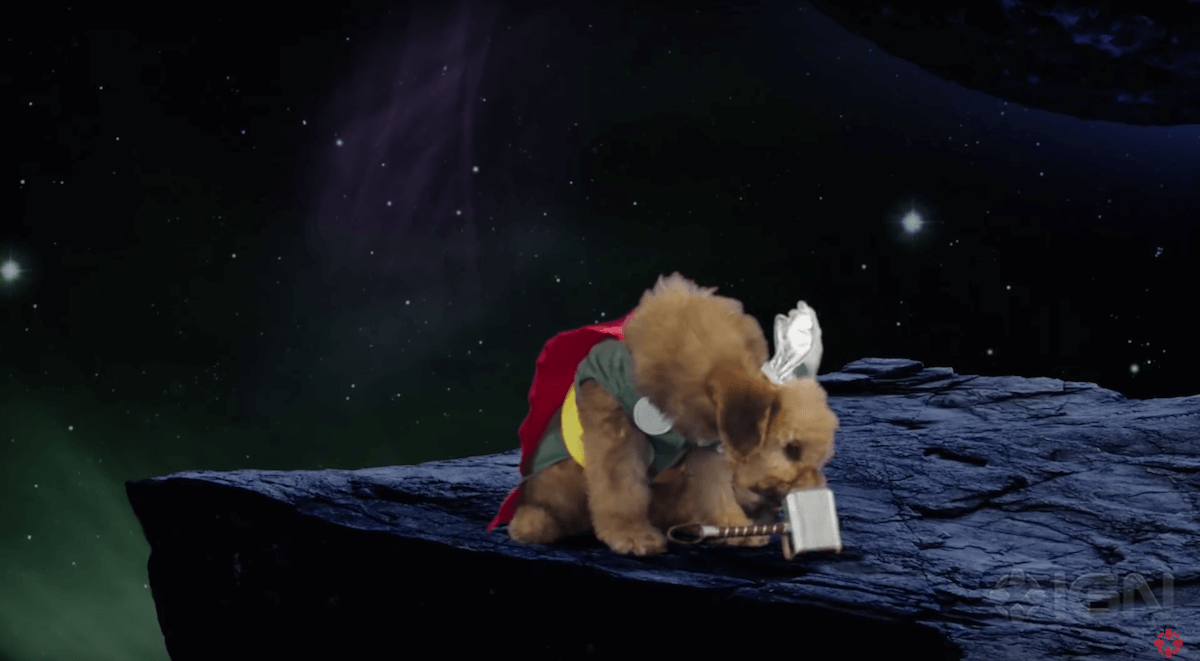 dr-strange-dogs-4