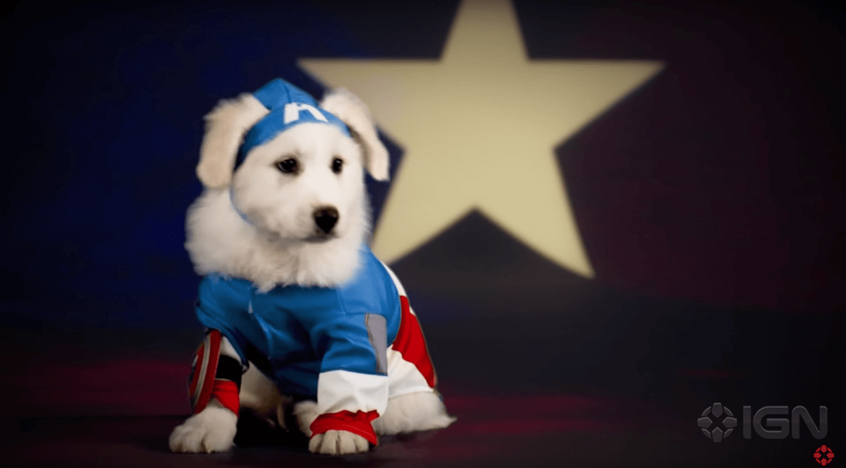 dr-strange-dogs-5