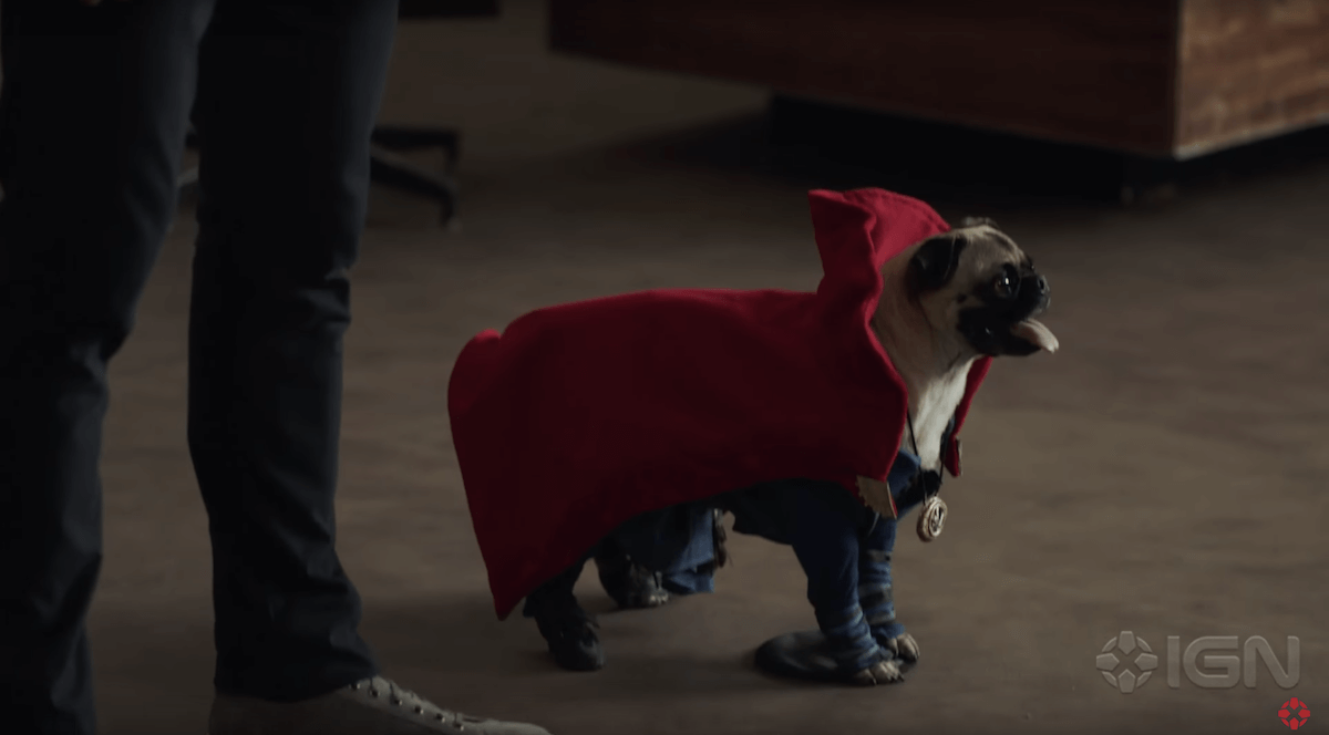 dr-strange-dogs-8
