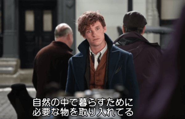ファンタスティックビースト　未公開シーン