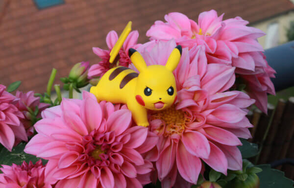 ポケットモンスター