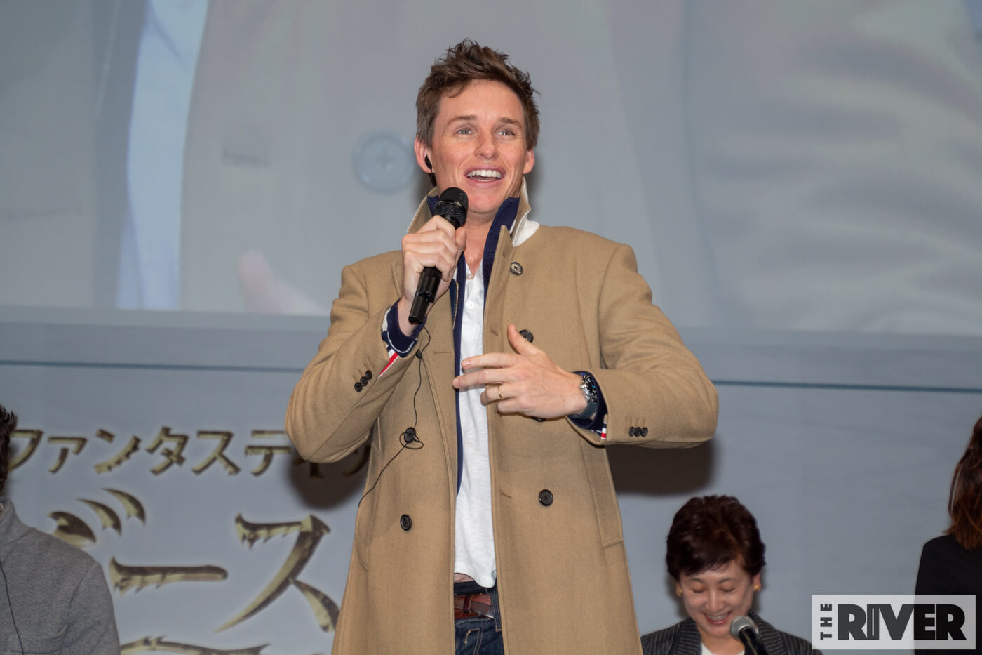 ファンタスティック・ビーストと黒い魔法使いの誕生 ファンナイト