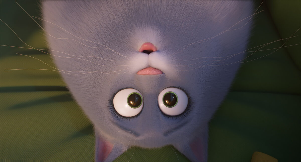 ペット2