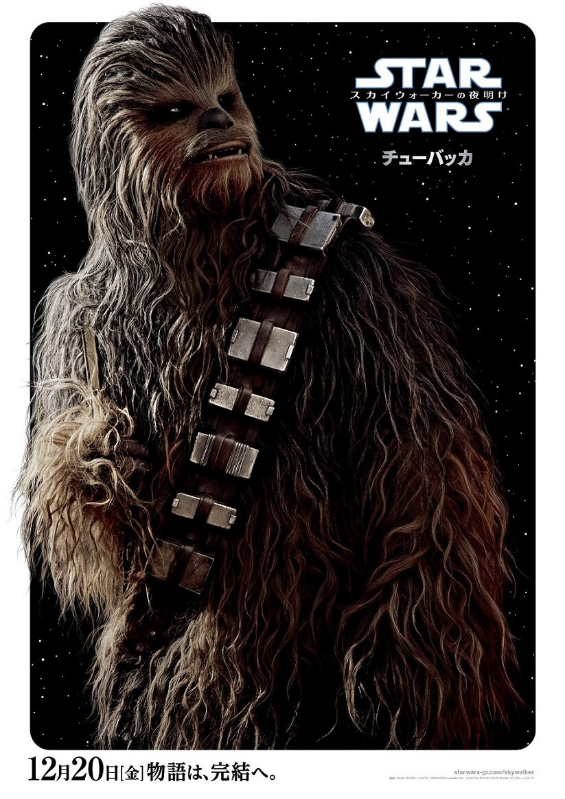 スター・ウォーズ／スカイウォーカーの夜明け