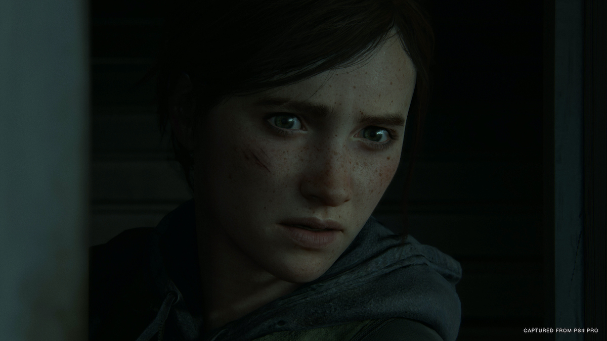 The Last of Us Part II(使用可)