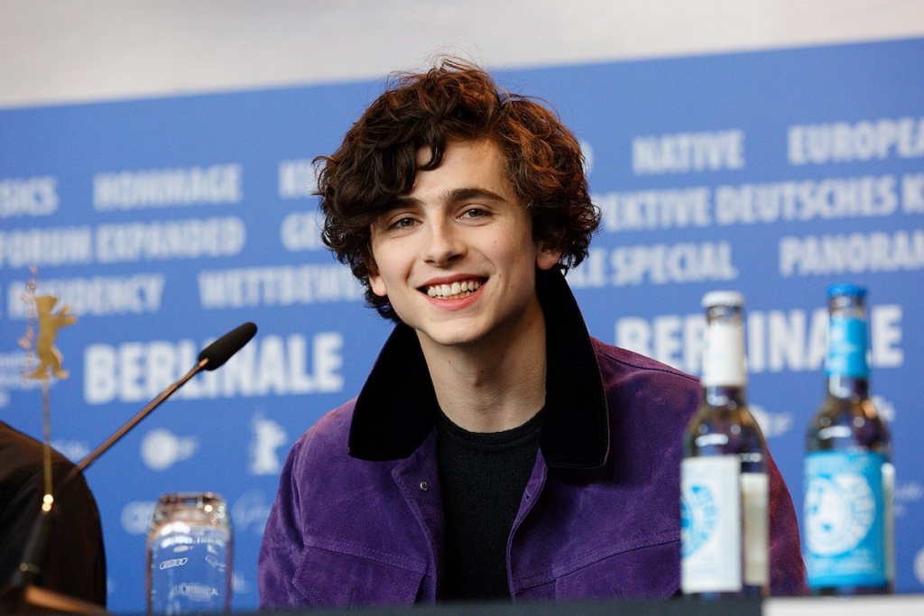 Timothee Chalamet ティモシー・シャラメ