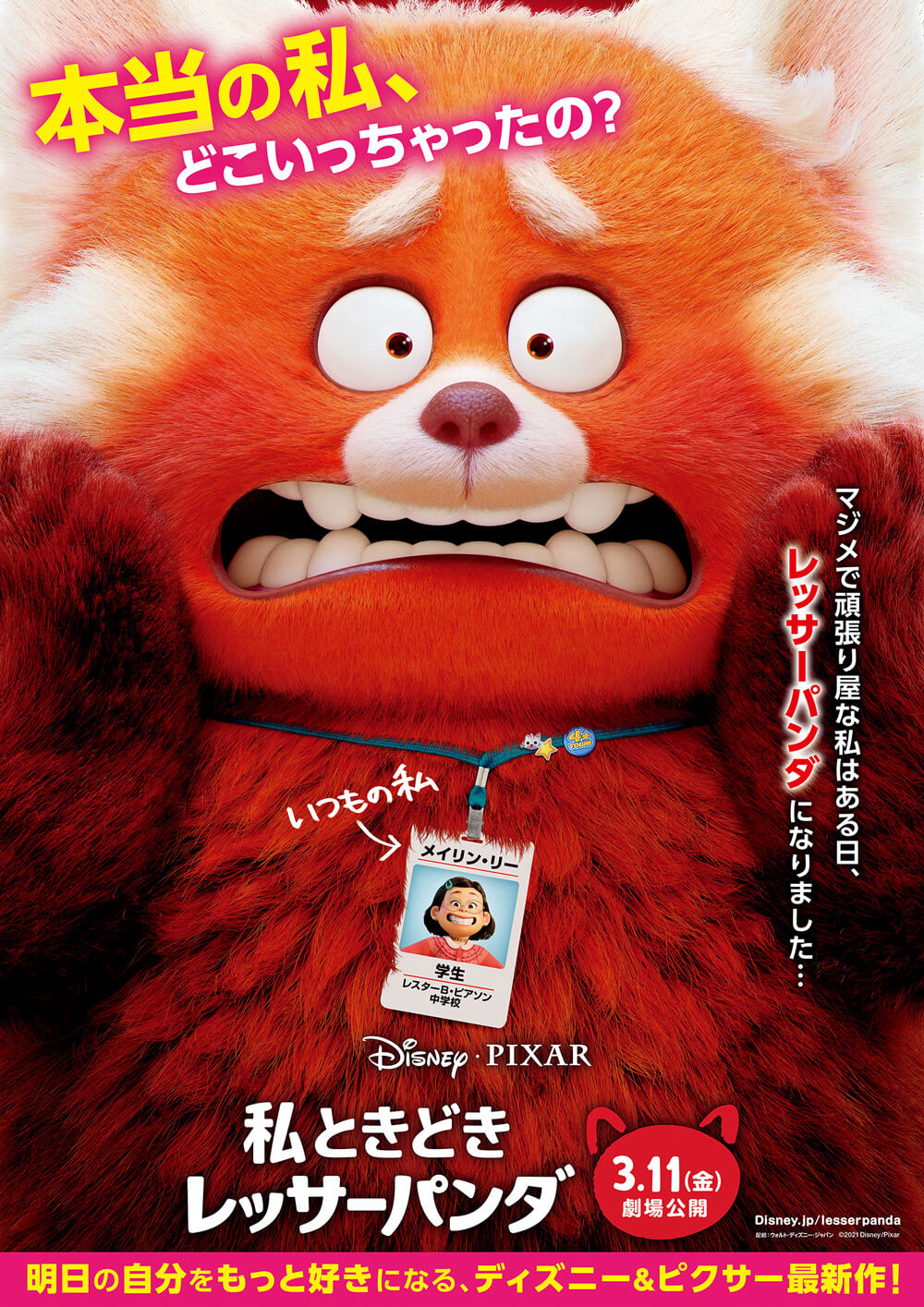 『私ときどきレッサーパンダ』