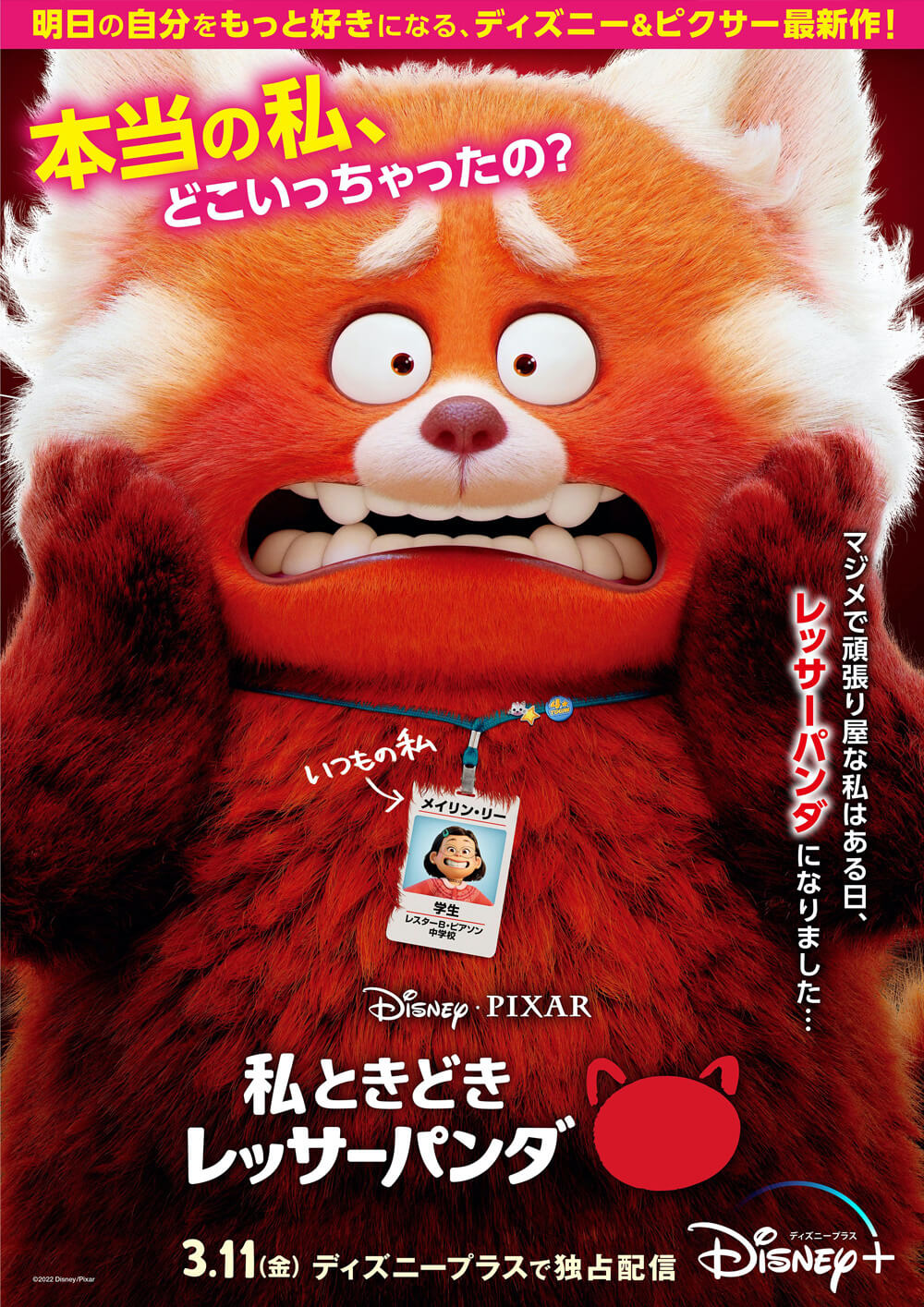 私ときどきレッサーパンダ