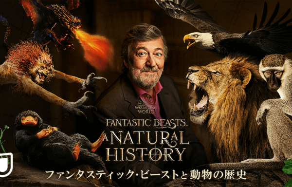 ファンタスティック・ビーストと動物の歴史