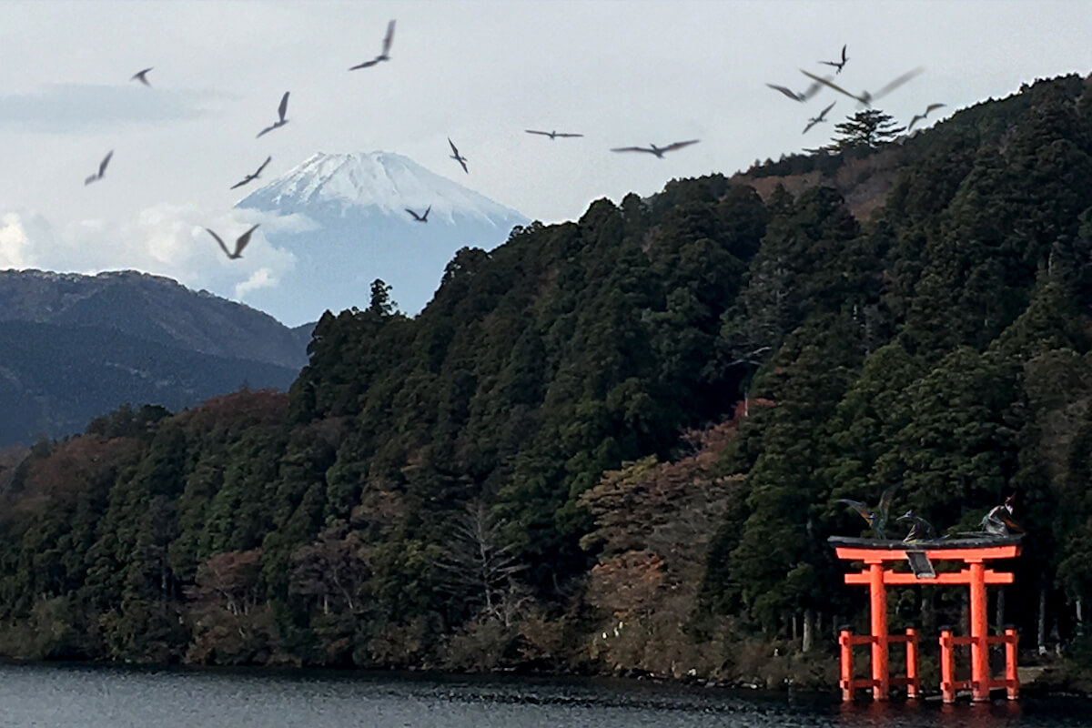 ディノトラッカー
