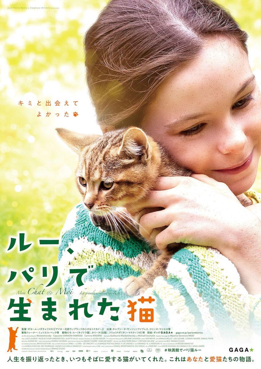 ルー、パリで生まれた猫