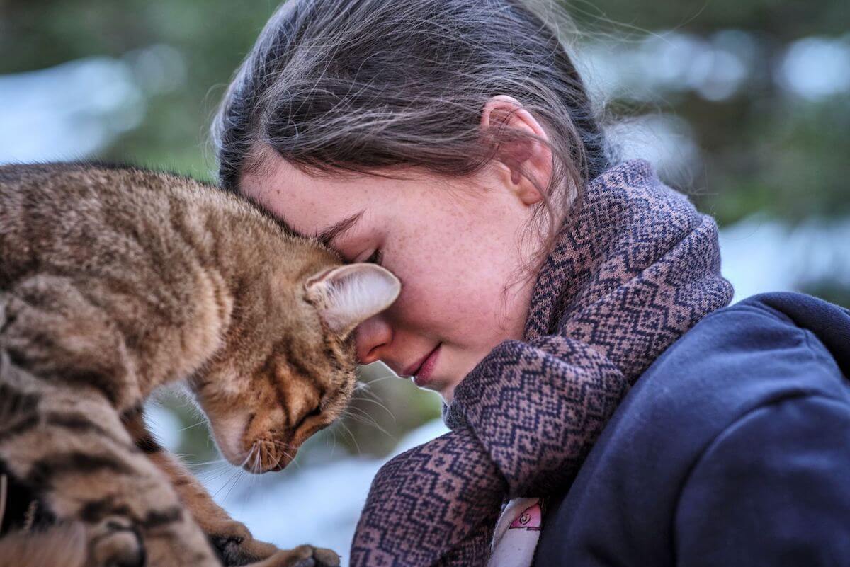 ルー、パリで生まれた猫