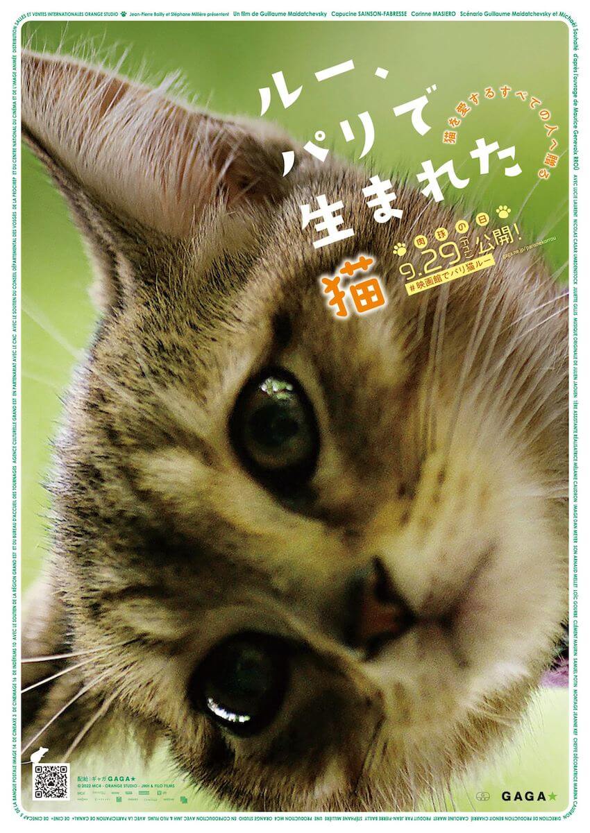 ルー、パリで生まれた猫